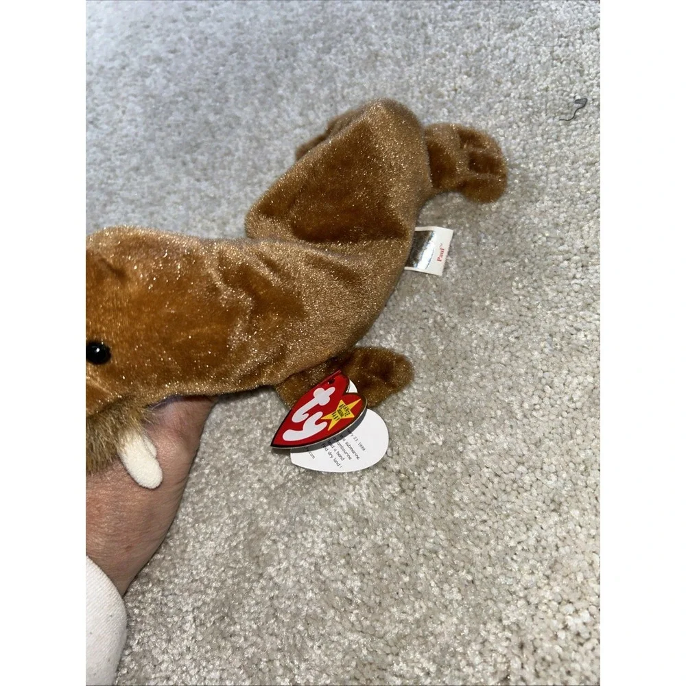 *RARE* Retired Ty Beanie Baby 1999 Paul the Walrus MINT‎ w/tags - Tag Errors